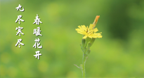 【九九養(yǎng)生】三月四日“九九日”，寒冬已過。春天養(yǎng)好身，全年不怕?。? />
                    </a>
                </div>
            </li>
            
            <li id=