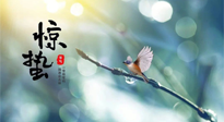 【二十四節(jié)氣灸】驚蟄節(jié)氣，艾灸喚醒抵抗力、補(bǔ)充陽氣的最好時(shí)機(jī)！